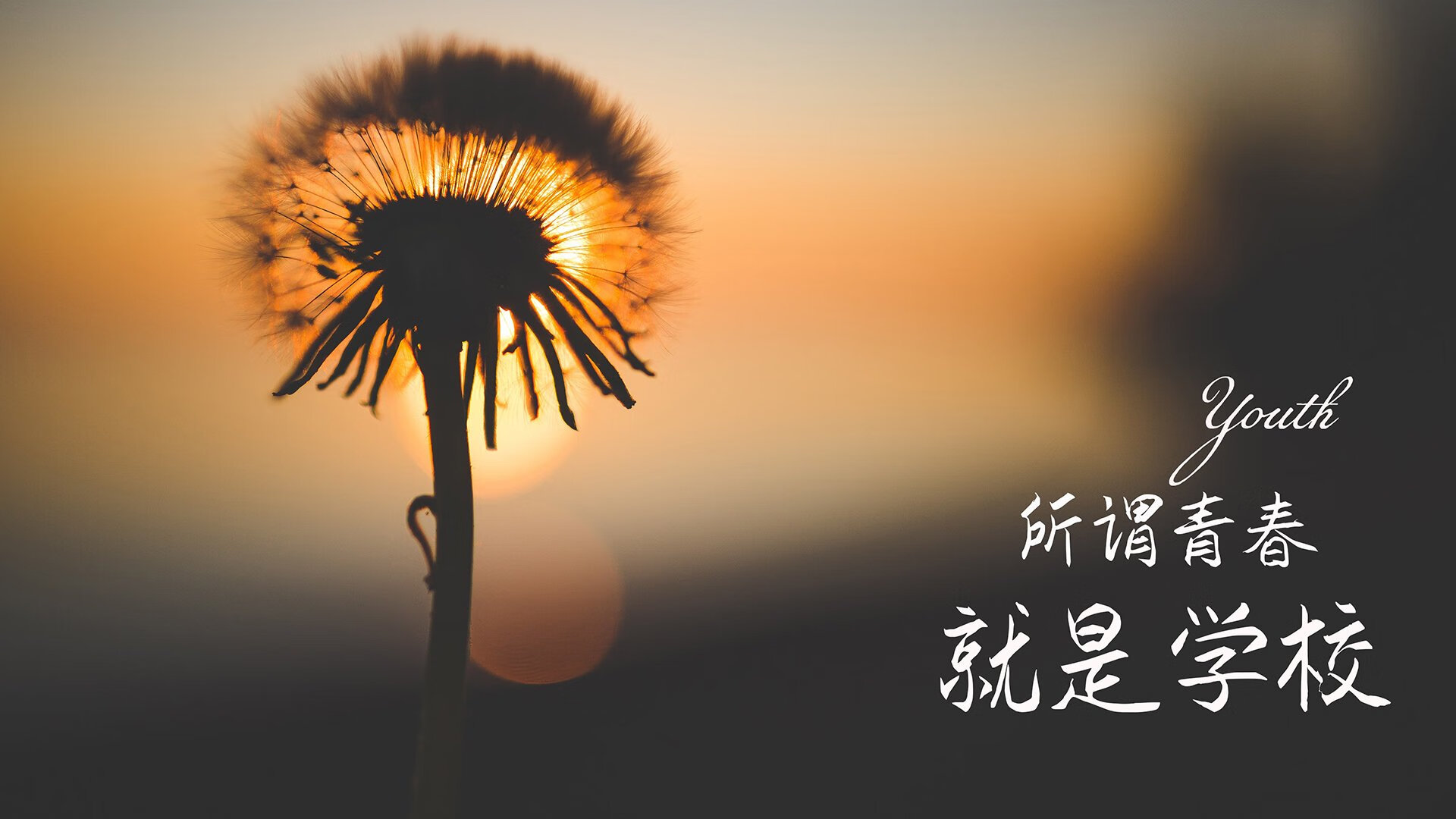 钢材价格上涨的主要原因（钢材价格上涨的原因 产能受限）